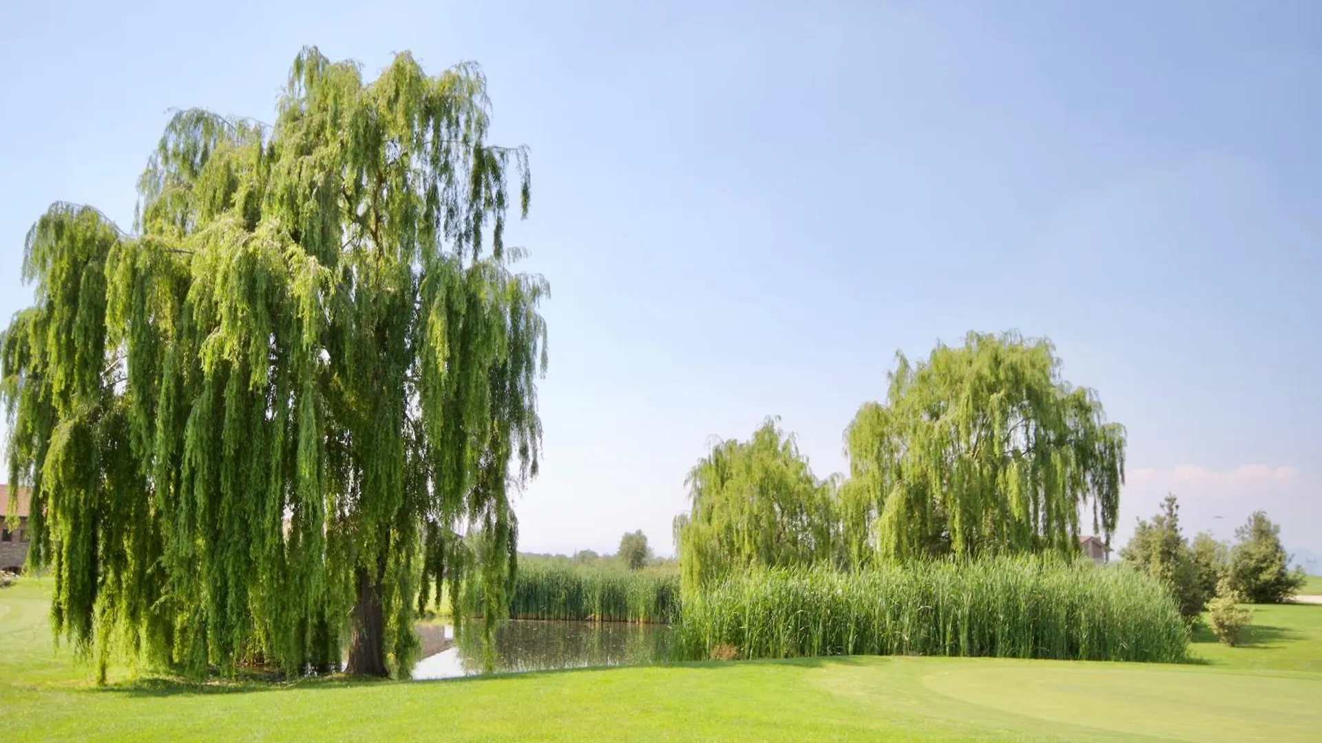 פוזולנגו Creative Design House Golf & Spa איטליה